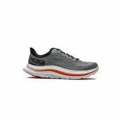 Hoka 100